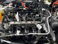 Ford Kuga 2.5 Duratec PHEV TITANIUM Weiß - thumbnail 17