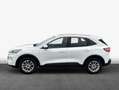 Ford Kuga 2.5 Duratec PHEV TITANIUM Weiß - thumbnail 5