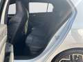 Volkswagen Golf VIII 1.5 eTSI R-Line DSG AHK/Rückfahrkamera Weiß - thumbnail 14
