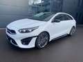 Kia ProCeed / pro_cee'd .5T-GDI DCT7 GT-LINE TECHNO GLASDACH 18Z LEDER - thumbnail 1