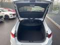 Kia ProCeed / pro_cee'd .5T-GDI DCT7 GT-LINE TECHNO GLASDACH 18Z LEDER - thumbnail 8