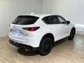 Mazda CX-5 2.2L Skyactiv-D 150 CV 2WD 6AT Homura Bianco - thumbnail 4