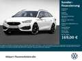 CUPRA Leon 1.4 SP HYBRID VZ NAVI ALU19 SITZHZG Blanc - thumbnail 1