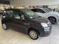 Fiat Panda Panda 2012 0.9  Lounge 85cv - Nessun vincolo - Brun - thumbnail 2
