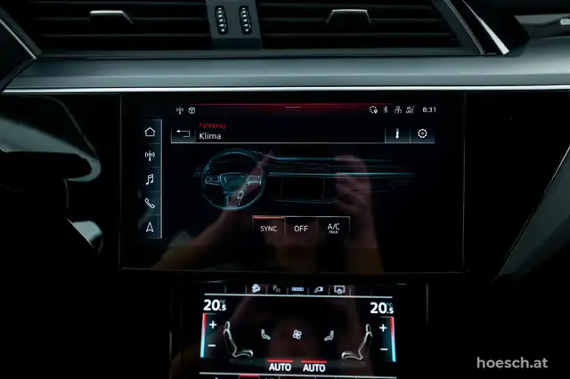 Audi E-Tron view 15