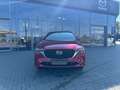 Mazda CX-5 2.5 (194PS) AWD Autom. Takumi Leder AHK 360 Rouge - thumbnail 2
