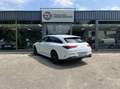 Mercedes-Benz CLA 250 Shooting Brake e Blanc - thumbnail 7