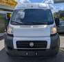 Fiat Ducato 3.0 L3H2*CNG*Rollstuhl*6Si*MotorNEU 10tkm Weiß - thumbnail 2