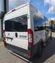 Fiat Ducato 3.0 L3H2*CNG*Rollstuhl*6Si*MotorNEU 10tkm Weiß - thumbnail 5
