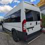 Fiat Ducato 3.0 L3H2*CNG*Rollstuhl*6Si*MotorNEU 10tkm Weiß - thumbnail 7