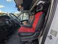 Fiat Ducato 3.0 L3H2*CNG*Rollstuhl*6Si*MotorNEU 10tkm Weiß - thumbnail 11