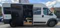 Fiat Ducato 3.0 L3H2*CNG*Rollstuhl*6Si*MotorNEU 10tkm Weiß - thumbnail 9