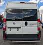Fiat Ducato 3.0 L3H2*CNG*Rollstuhl*6Si*MotorNEU 10tkm Weiß - thumbnail 6