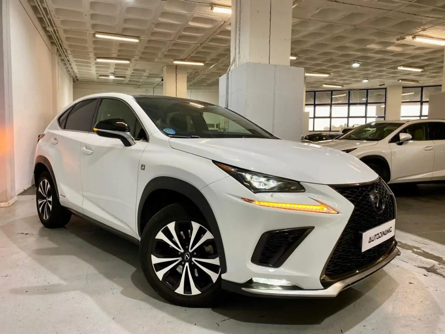 Lexus NX 300 300h F Sport 4WD Panorámico Wit - 2
