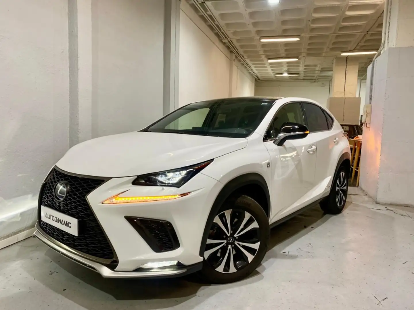 Lexus NX 300 300h F Sport 4WD Panorámico Wit - 1