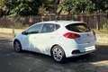 Kia Ceed / cee'd cee'd 1.6 CRDi 110 CV 5 porte Cool Blanc - thumbnail 7