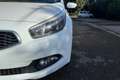 Kia Ceed / cee'd cee'd 1.6 CRDi 110 CV 5 porte Cool Blanc - thumbnail 9