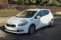 Kia Ceed / cee'd cee'd 1.6 CRDi 110 CV 5 porte Cool Blanc - thumbnail 1