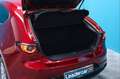 Mazda MX-3 1.8 SKYACTIV-D EVOLUTION Rot - thumbnail 19