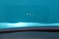 Mazda MX-3 1.8 SKYACTIV-D EVOLUTION Rot - thumbnail 31