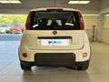 Fiat Panda 1.0 FireFly 70cv S&S Hybrid City Life Bianco - thumbnail 4