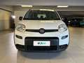 Fiat Panda 1.0 FireFly 70cv S&S Hybrid City Life Bianco - thumbnail 6