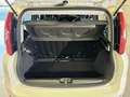 Fiat Panda 1.0 FireFly 70cv S&S Hybrid City Life Bianco - thumbnail 11