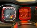 Fiat Panda 1.0 FireFly 70cv S&S Hybrid City Life Bianco - thumbnail 13