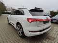 Audi e-tron E-Tron 95 kWh 55 Sportrback Quattro S line Weiß - thumbnail 14