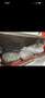 Fiat Panda 4x4 - thumbnail 4