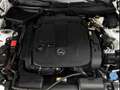 Mercedes-Benz SLK 350 V6 3.5L - thumbnail 19
