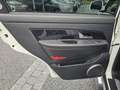 SsangYong Rexton Executive 4WD Automatik*Leder*Navi*AHK* Weiß - thumbnail 21