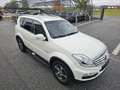 SsangYong Rexton Executive 4WD Automatik*Leder*Navi*AHK* Weiß - thumbnail 4