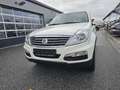 SsangYong Rexton Executive 4WD Automatik*Leder*Navi*AHK* Weiß - thumbnail 6