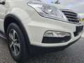 SsangYong Rexton Executive 4WD Automatik*Leder*Navi*AHK* Weiß - thumbnail 9
