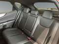 Lexus NX 300h 450h+ F Sport 4WD Orange - thumbnail 8