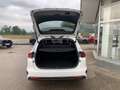 Kia Ceed SW / cee'd SW ceed SW 1,0 T-GDI GPF ISG Silber Weiß - thumbnail 10