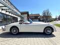 Oldtimer Jaguar XK 150 S OTS  SEIT 1979 1 BESITZER IN DEUTSCHLAND! Weiß - thumbnail 6