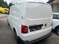 Volkswagen T6 Transporter Kasten Weiß - thumbnail 4