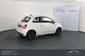 Fiat 500 FireFly Hybrid 70 Club CARPLAY Android Auto Top! Weiß - thumbnail 6