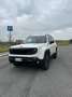 Jeep Renegade 2.0 mjt Trailhawk 4wd 170cv auto - thumbnail 1
