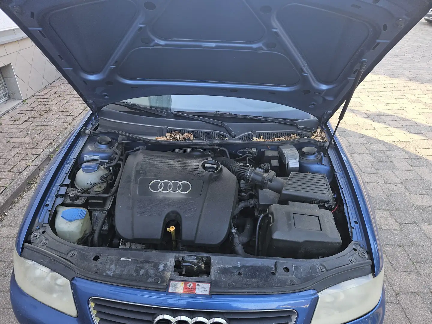 Audi A3 1.6 Ambition - 1
