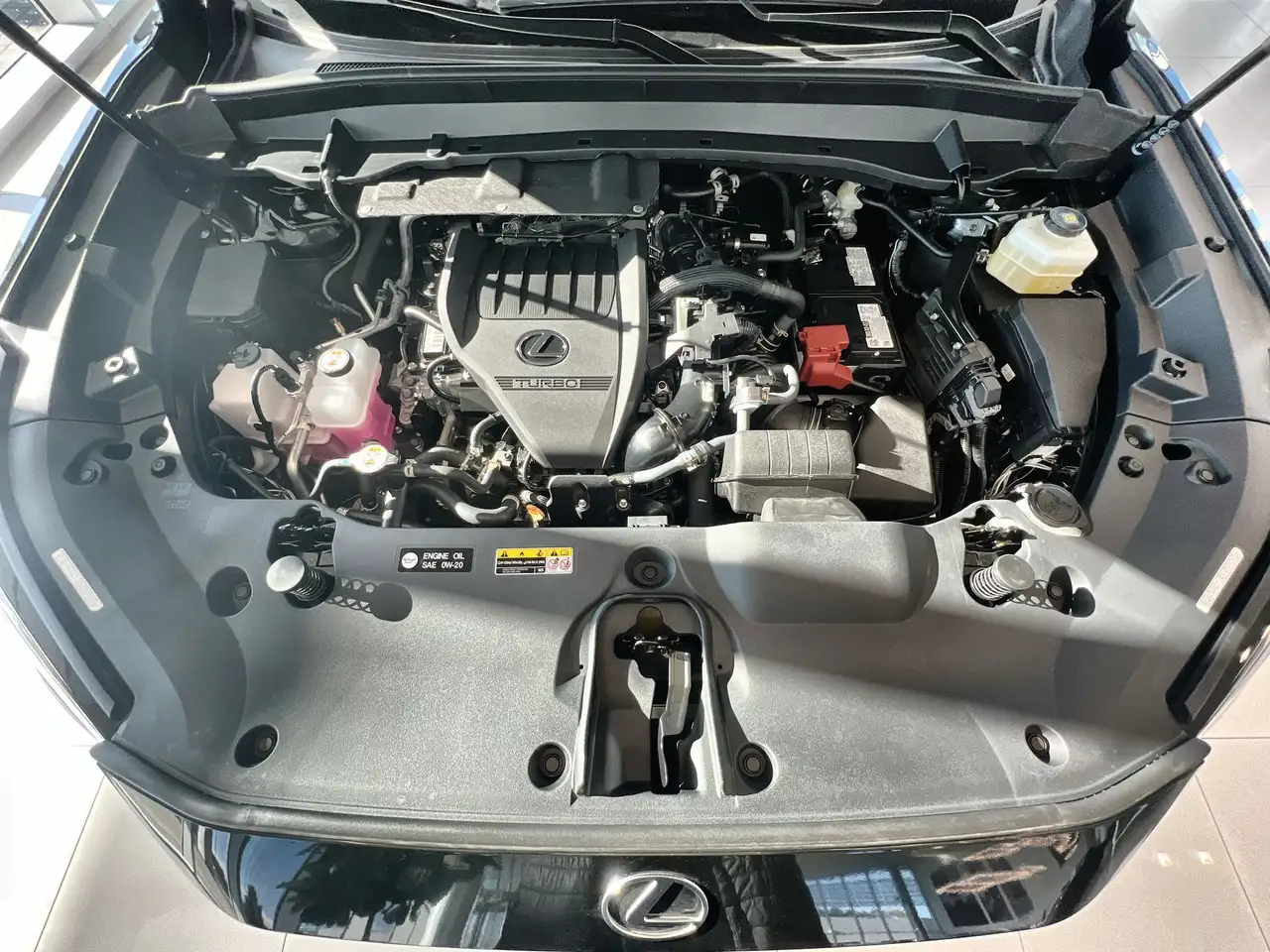 Lexus TX 350 photo Lexus TX 350