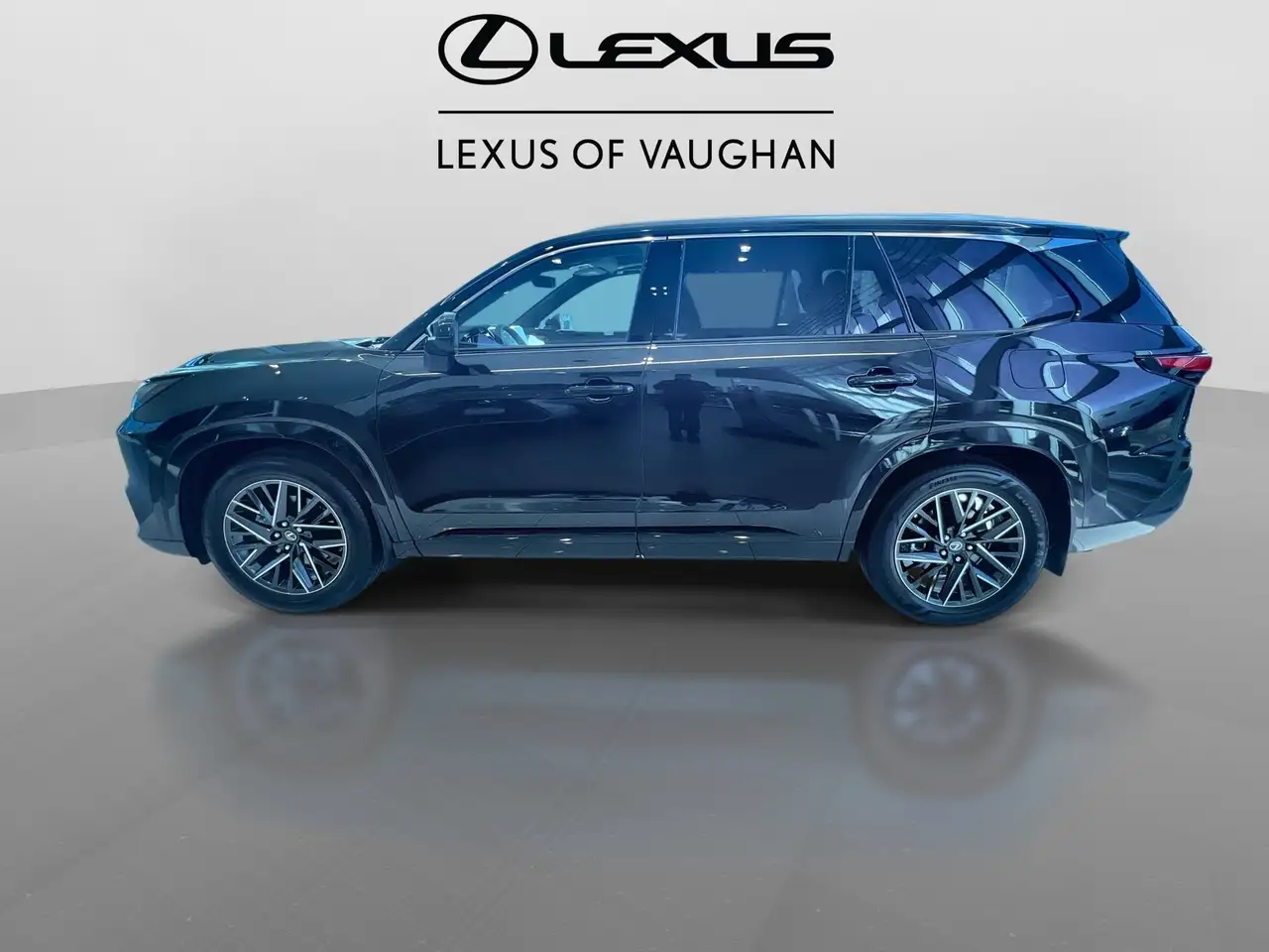 Lexus TX 350 photo Lexus TX 350