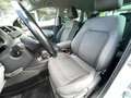 Volkswagen Polo Polo V 2014 5p 1.4 tdi bm Fresh 90cv dsg Blanc - thumbnail 8