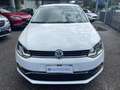 Volkswagen Polo Polo V 2014 5p 1.4 tdi bm Fresh 90cv dsg Blanc - thumbnail 2