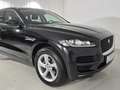 Jaguar F-Pace 25t AWD Pure Aut. | Auto Stahl Wien 22 Noir - thumbnail 8