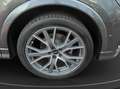 Audi Q3 35 TFSI S-line Edition LED Grau - thumbnail 13