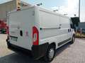 Fiat Ducato 2.3 MJET 130CV L2H1 con allestimento inerno Bianco - thumbnail 5
