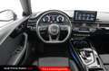 Audi A5 Sportback 40 TDI quattro S tronic S line edition Nero - thumbnail 6